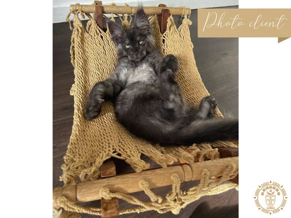Hamac chat taupe photo client1